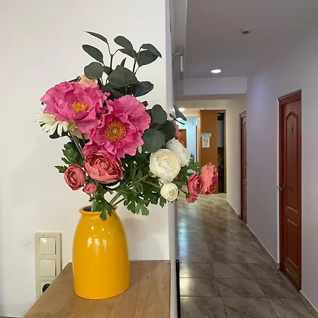 Hostel Center Hostel&guest House