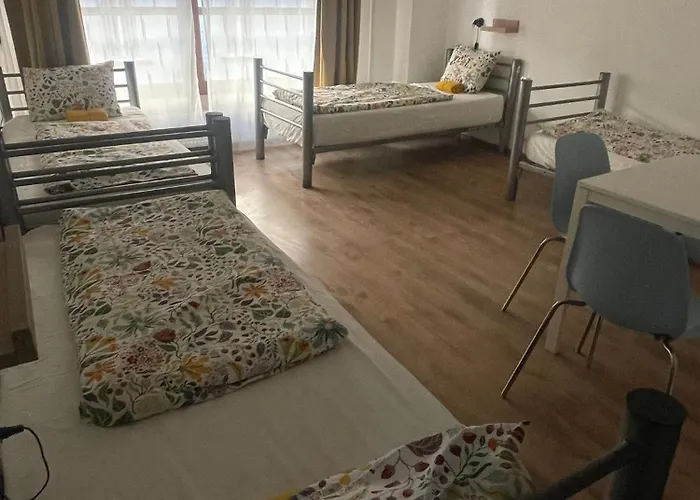 旅馆 中心旅馆 *