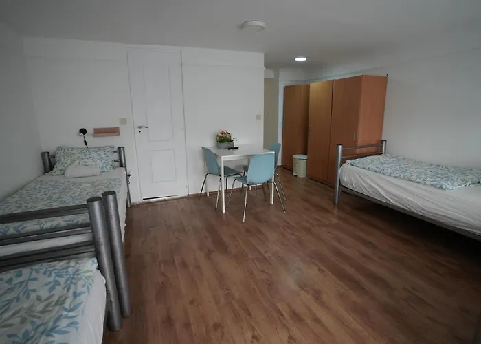 旅馆 中心旅馆 *