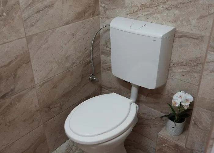 旅馆 中心旅馆 布达佩斯