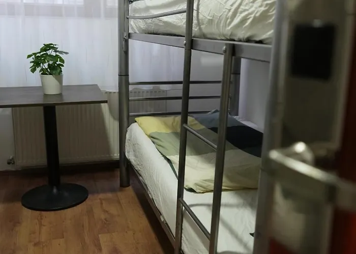 旅馆 中心旅馆 *